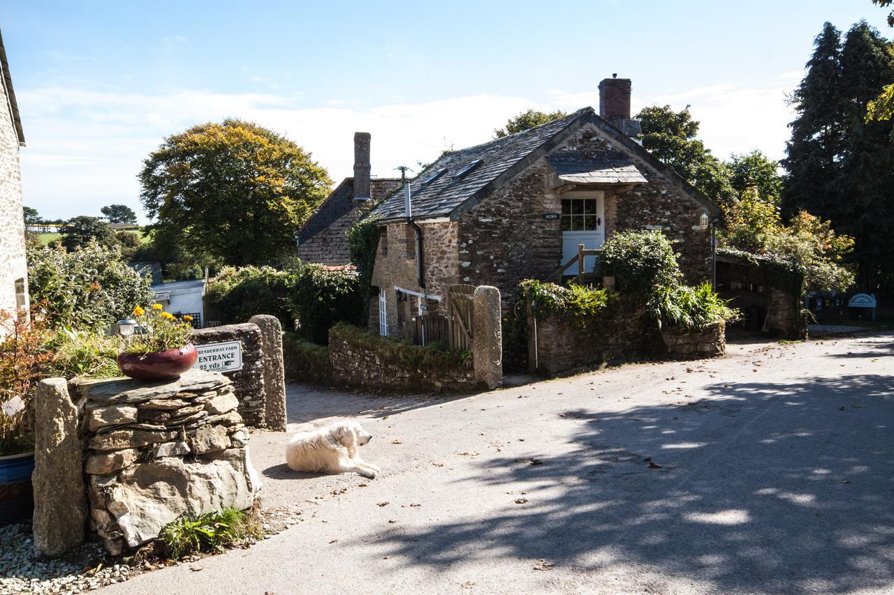 Bed and Breakfast Trenderway Farm Looe Exterior foto
