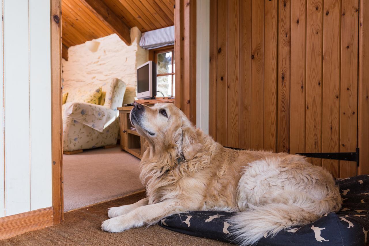 Bed and Breakfast Trenderway Farm Looe Exterior foto